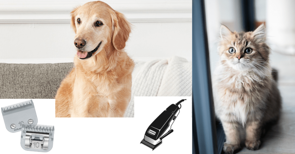 Clipper blades for Dog and Cat