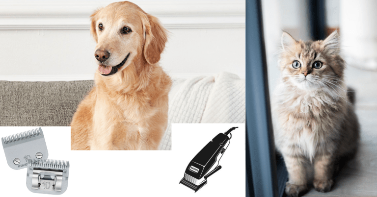 Clipper blades for Dog and Cat
